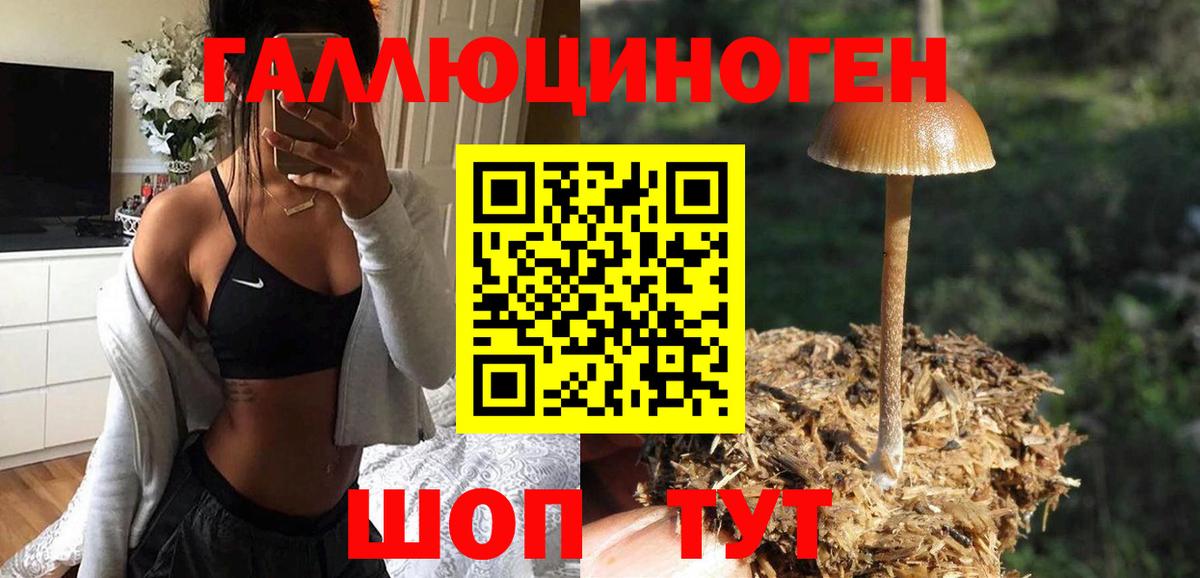 Галлюциногенные грибы Psilocybine cubensis  Вход с VPN  Барнаул 